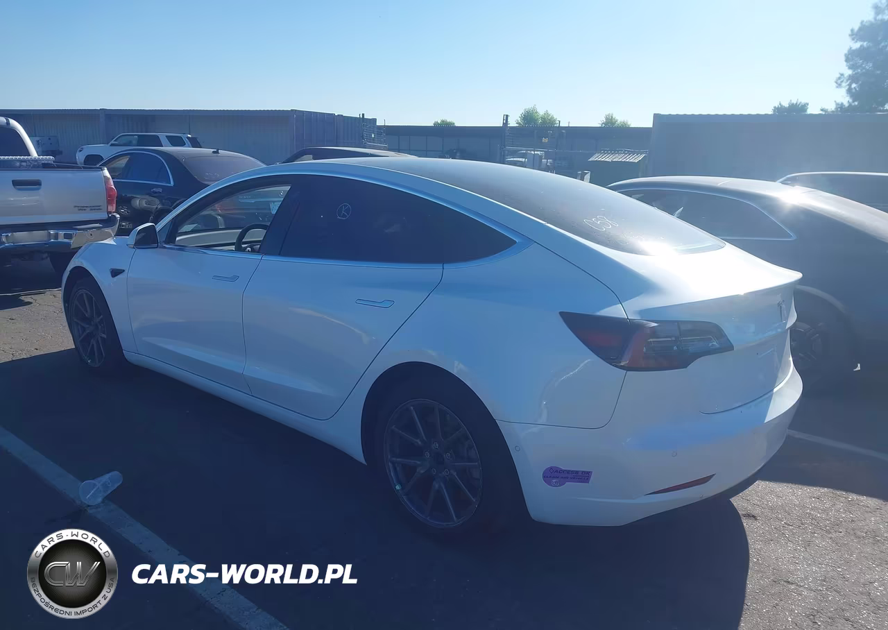 2019 Tesla Model 3 Long Range-Mid Range-Standard Range-Standard Range Plus VIN:5YJ3E1EA5KF401604 - 3