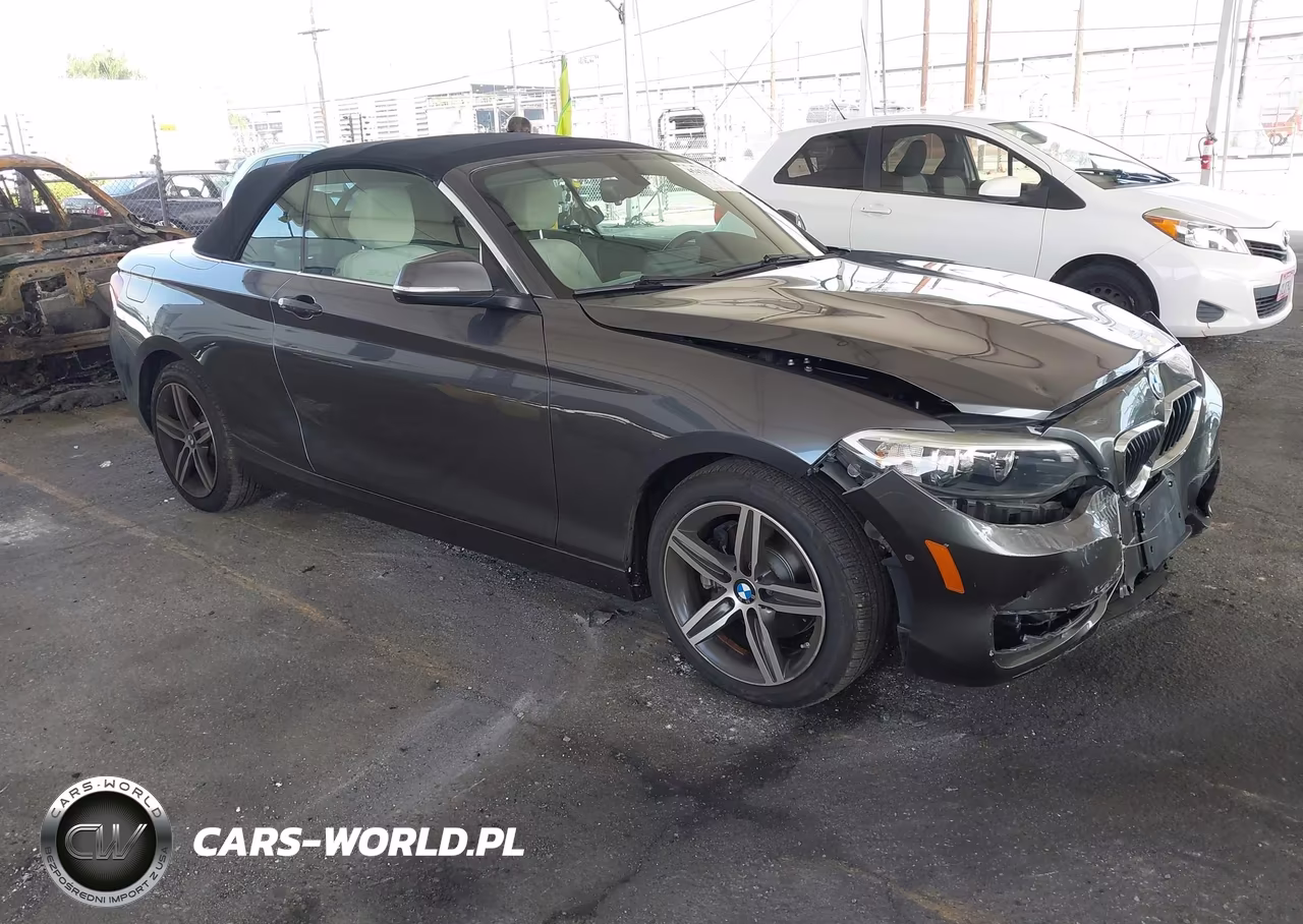 2017 BMW 230I