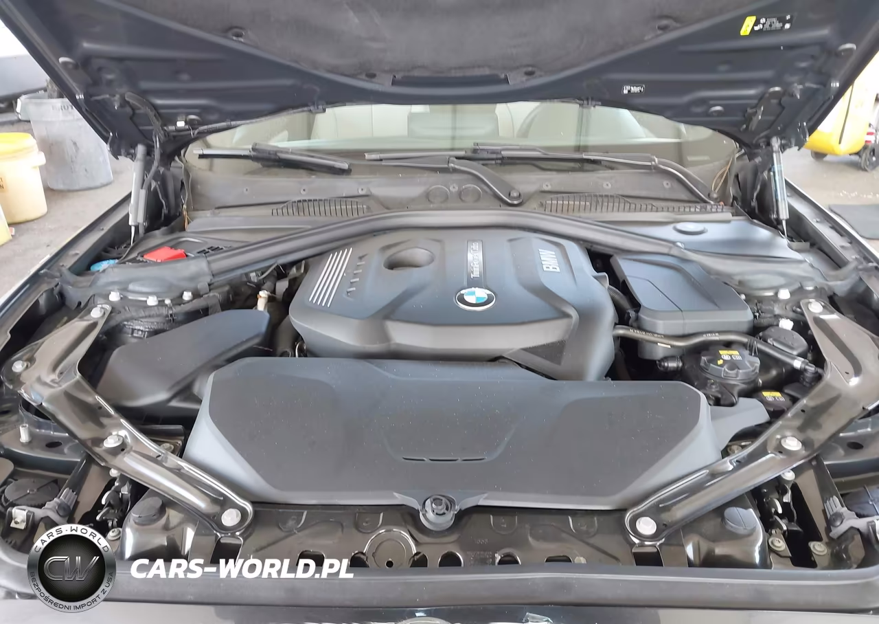 2017 BMW 230I VIN:WBA2K9C56HV647061 - 10