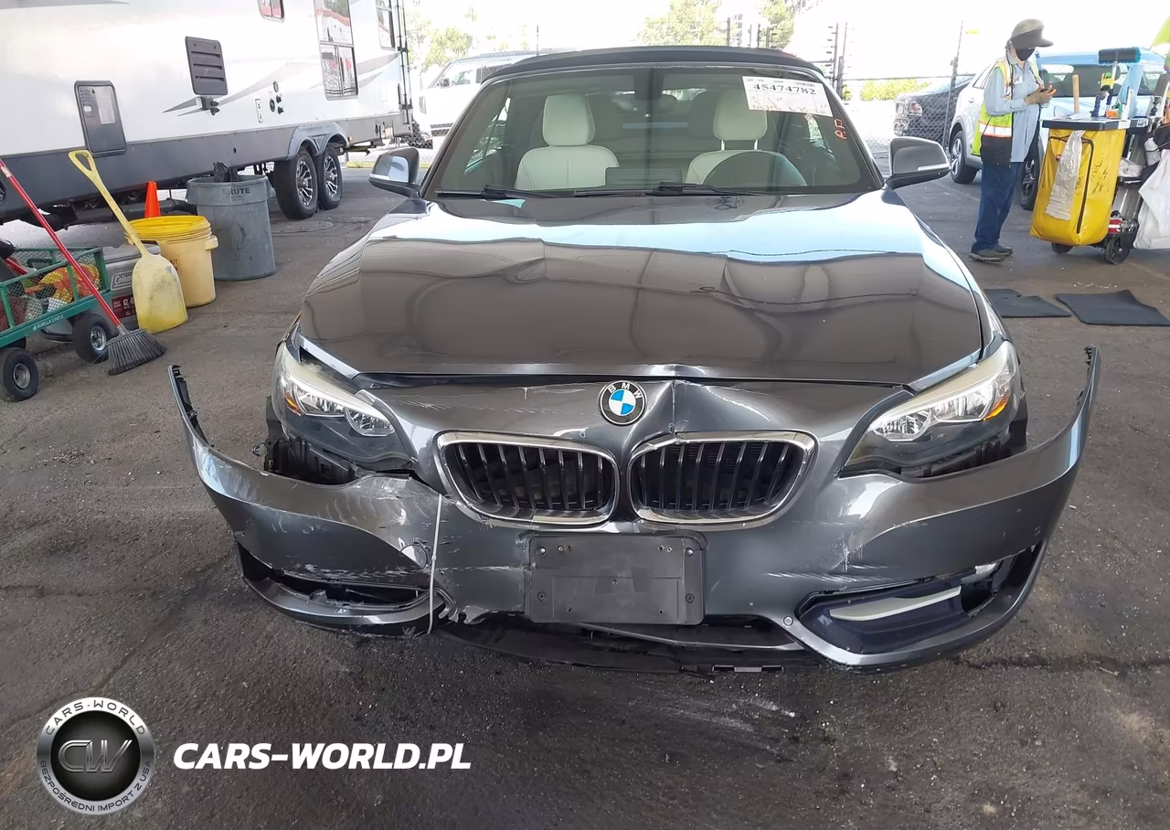 2017 BMW 230I VIN:WBA2K9C56HV647061 - 12