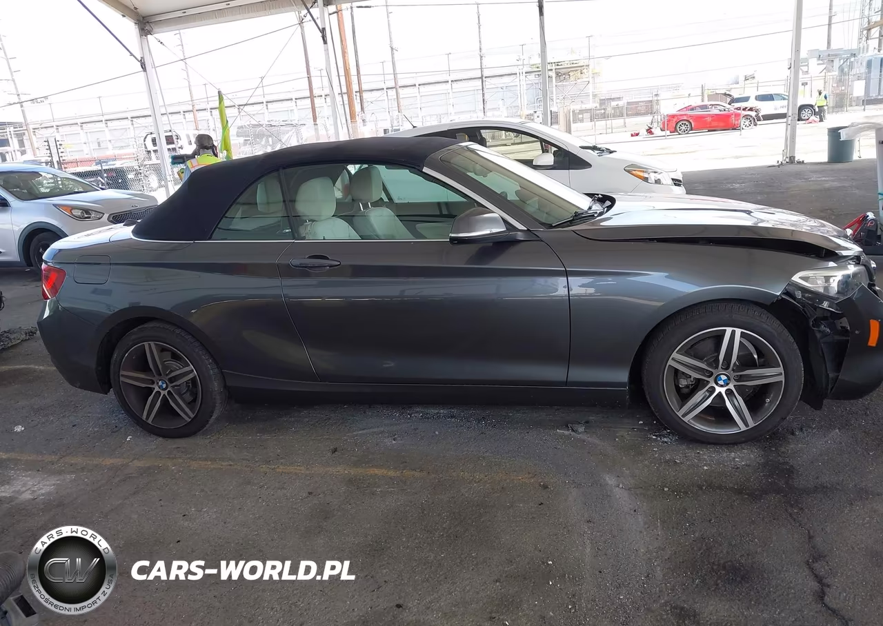 2017 BMW 230I VIN:WBA2K9C56HV647061 - 13
