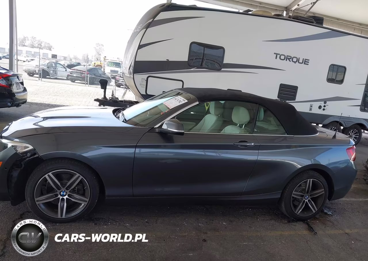 2017 BMW 230I VIN:WBA2K9C56HV647061 - 14