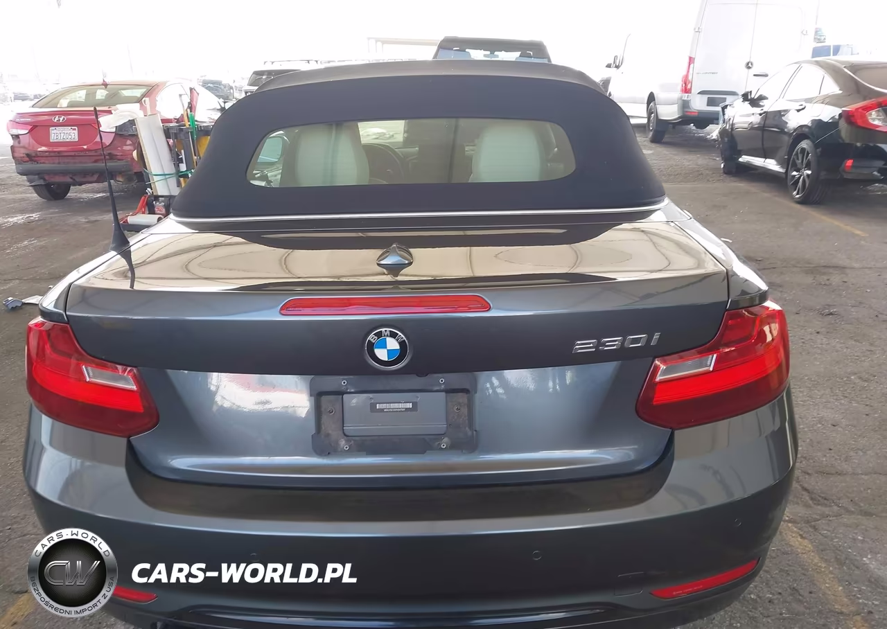 2017 BMW 230I VIN:WBA2K9C56HV647061 - 16