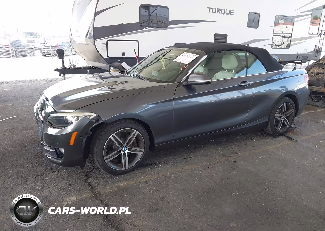 2017 BMW 230I VIN:WBA2K9C56HV647061 - 2