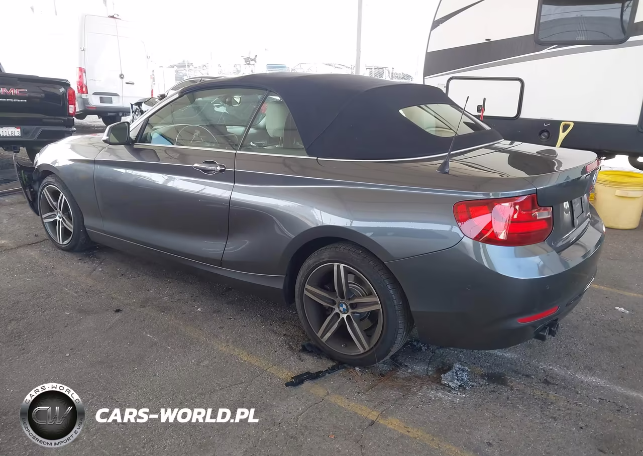 2017 BMW 230I VIN:WBA2K9C56HV647061 - 3