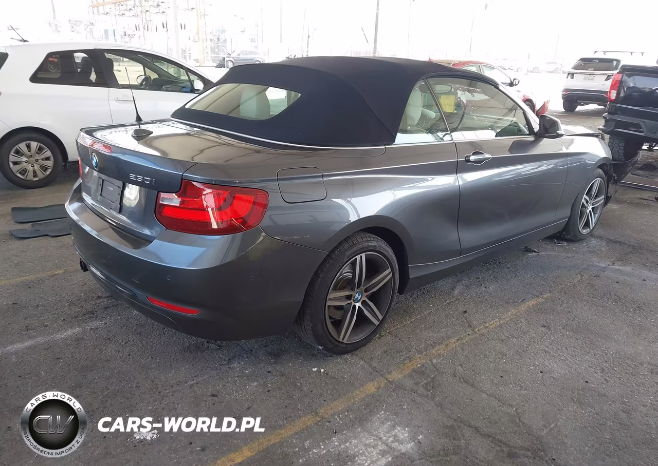 2017 BMW 230I VIN:WBA2K9C56HV647061 - 4