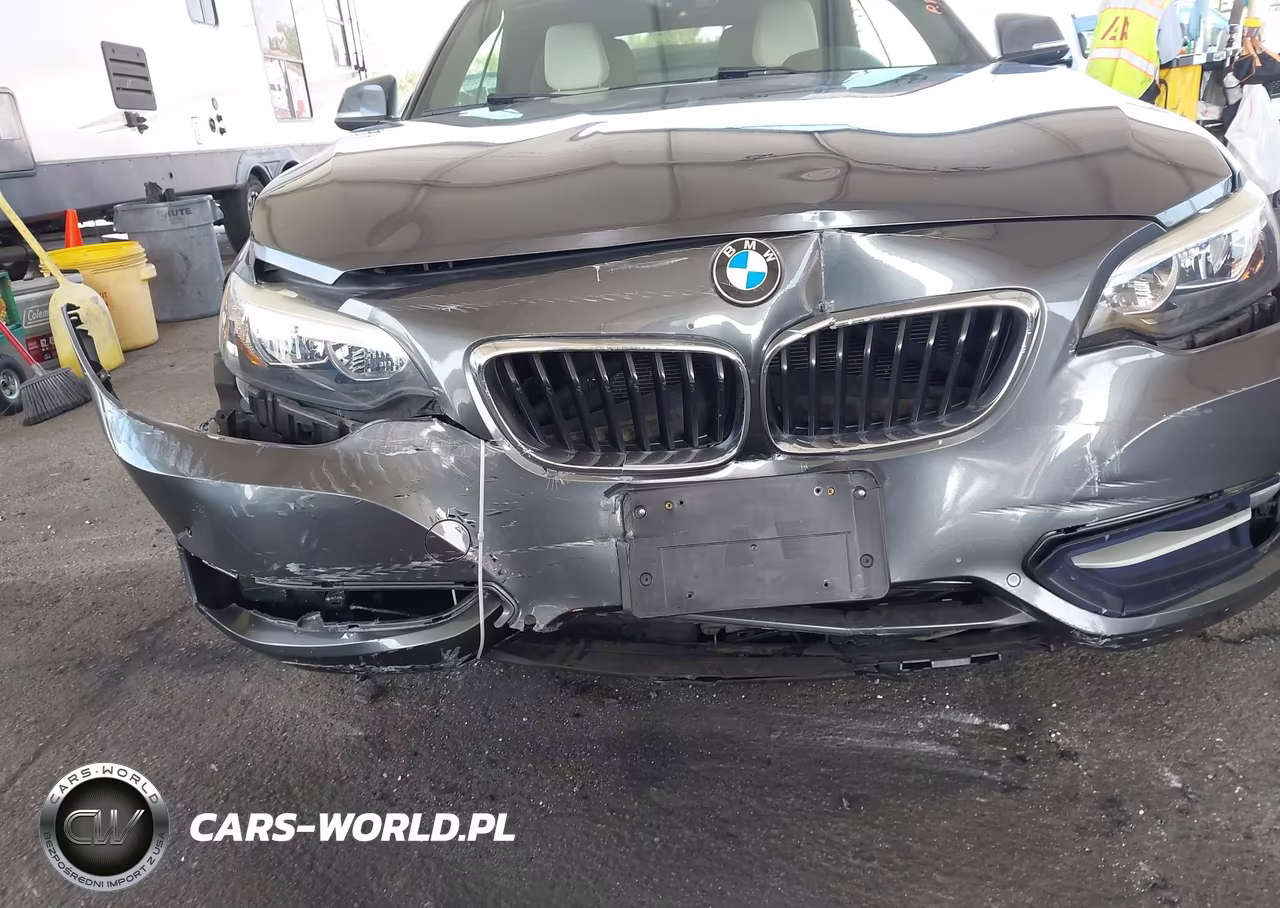 2017 BMW 230I VIN:WBA2K9C56HV647061 - 6