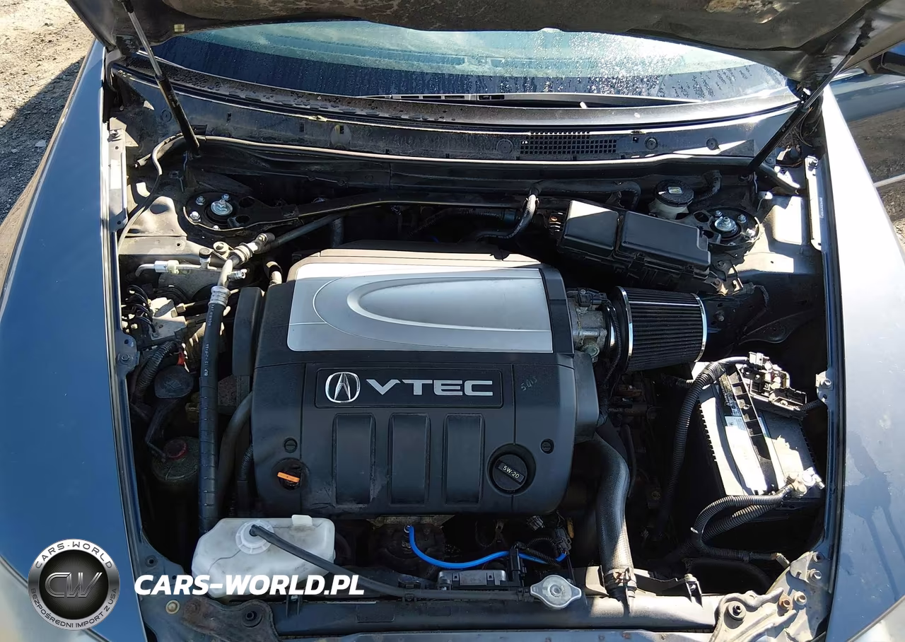 2005 Acura Rl 3.5 VIN:JH4KB16525C005118 - 10