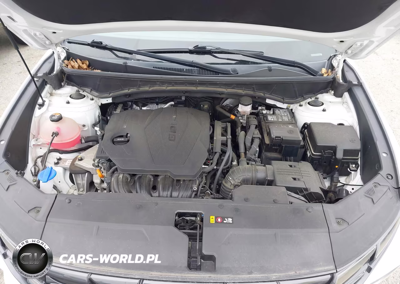 2023 Hyundai Tucson Sel VIN:5NMJBCAE9PH183533 - 10
