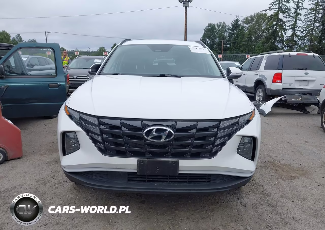 2023 Hyundai Tucson Sel VIN:5NMJBCAE9PH183533 - 13