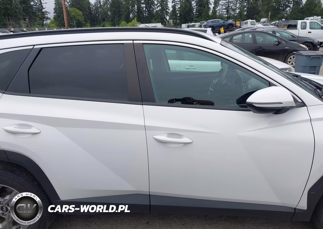 2023 Hyundai Tucson Sel VIN:5NMJBCAE9PH183533 - 14