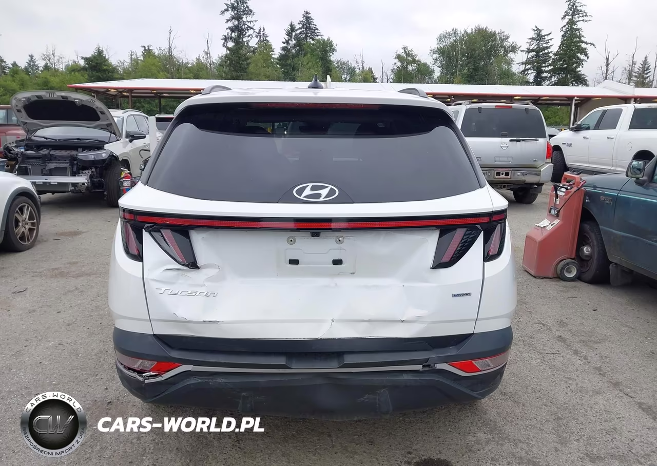 2023 Hyundai Tucson Sel VIN:5NMJBCAE9PH183533 - 17