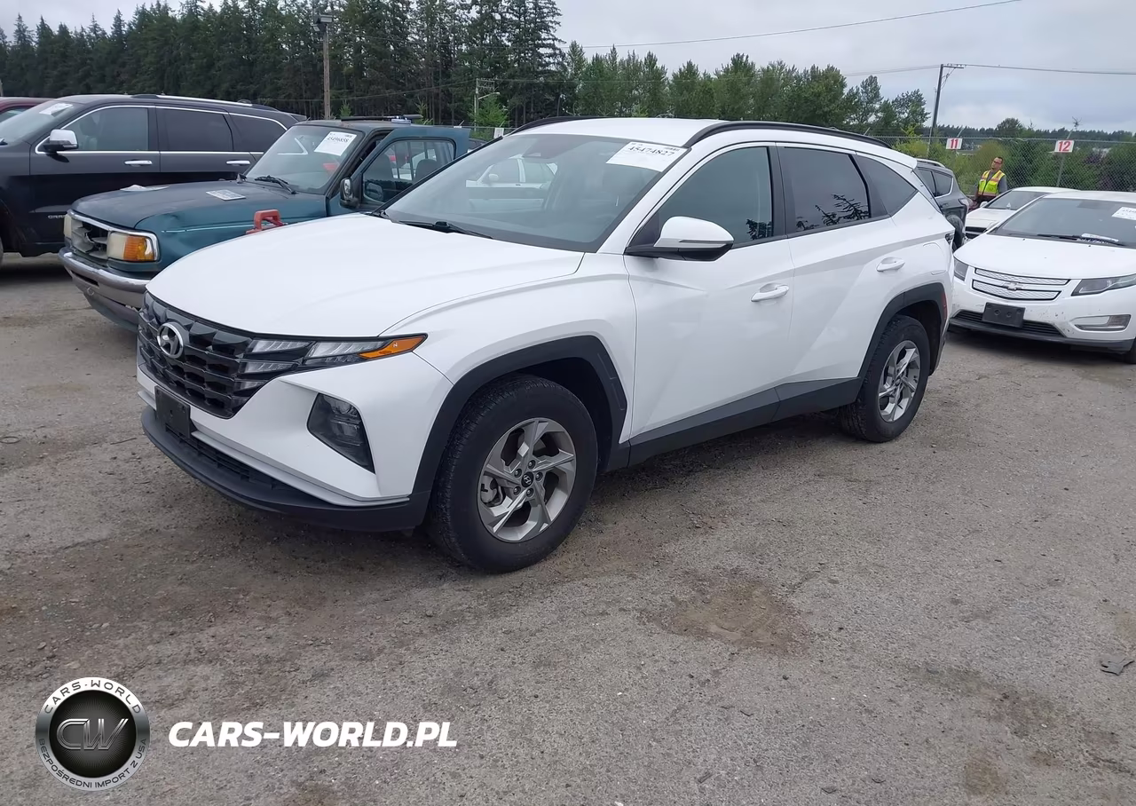 2023 Hyundai Tucson Sel VIN:5NMJBCAE9PH183533 - 2