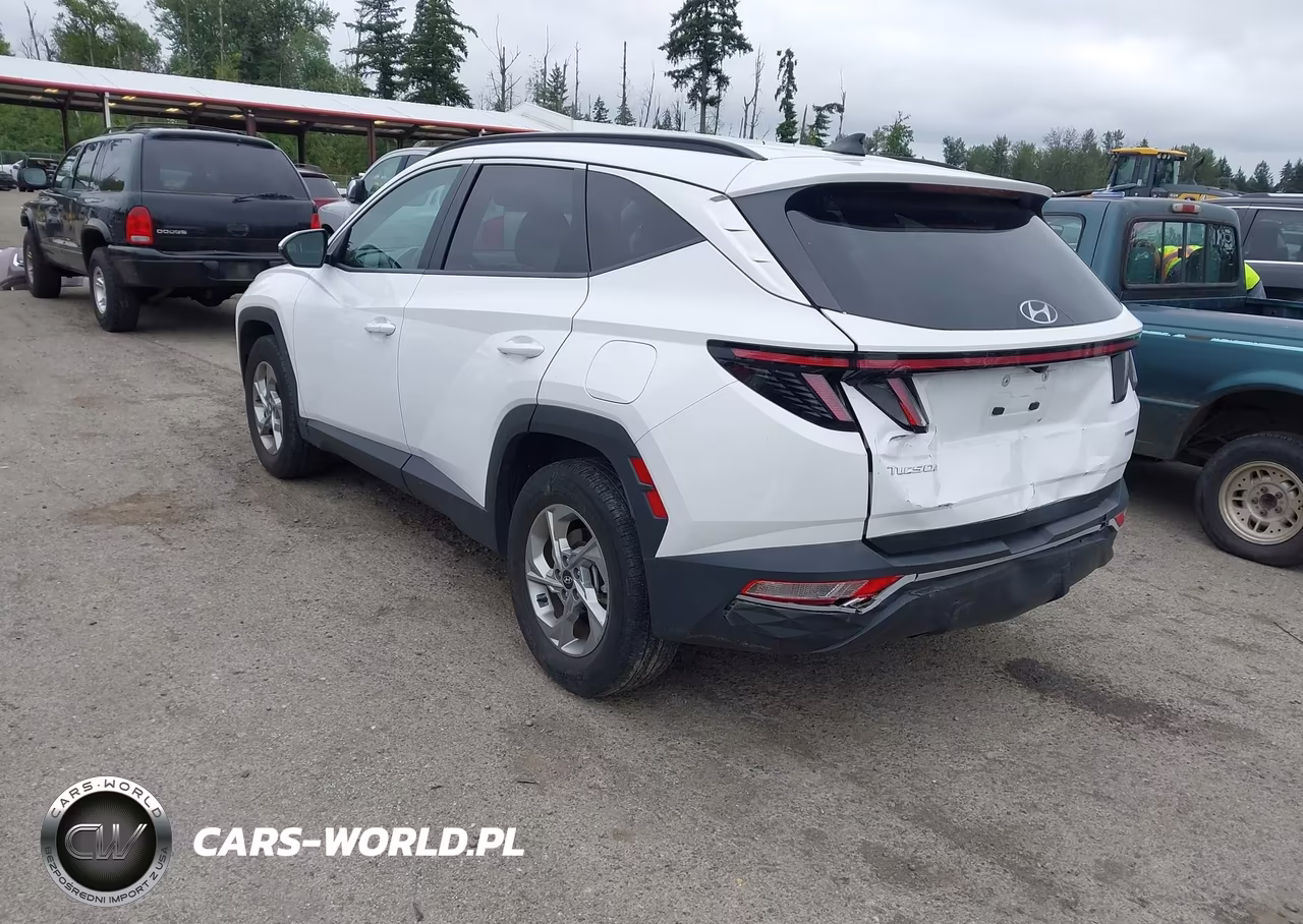 2023 Hyundai Tucson Sel VIN:5NMJBCAE9PH183533 - 3