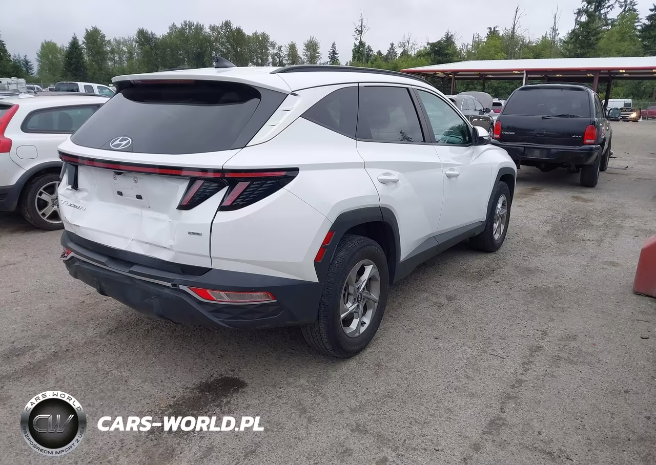 2023 Hyundai Tucson Sel VIN:5NMJBCAE9PH183533 - 4