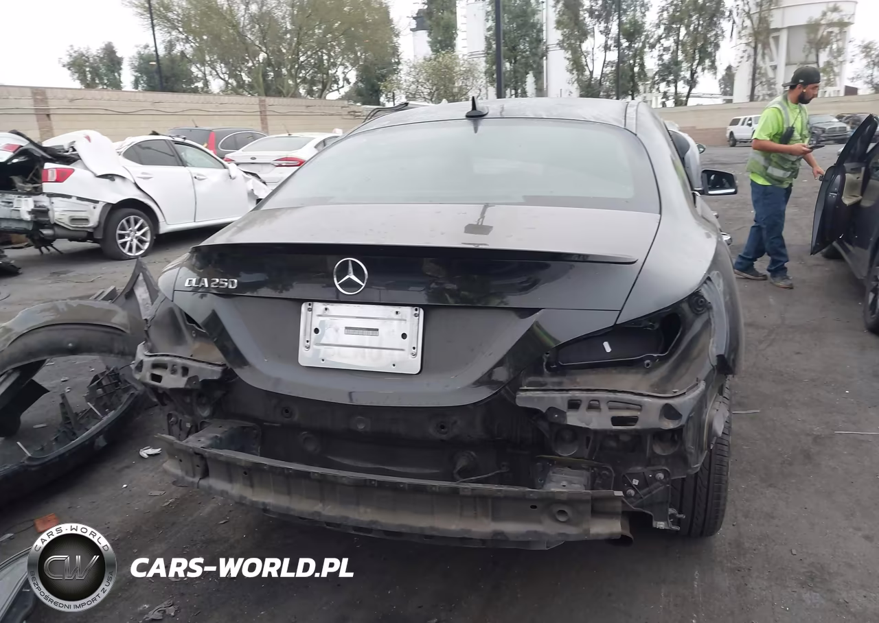 2017 Mercedes-Benz Cla 250 VIN:WDDSJ4EBXHN433451 - 17