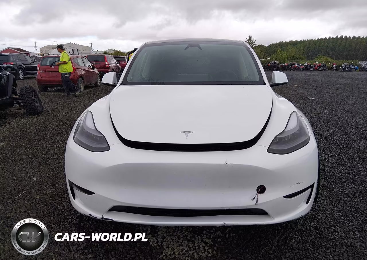 2023 Tesla Model Y Awd-Long Range Dual Motor All-Wheel Drive VIN:7SAYGDEE4PF808327 - 13