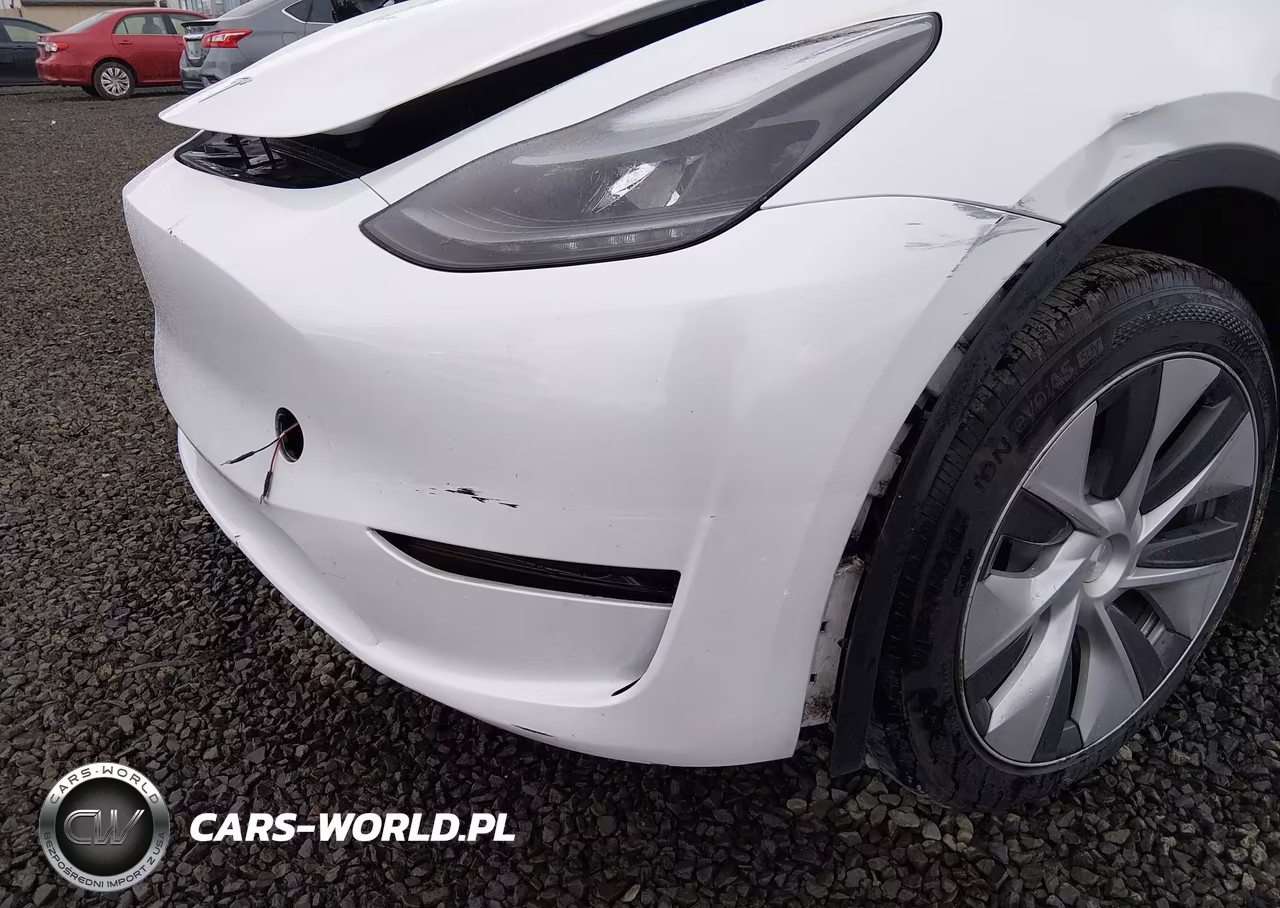 2023 Tesla Model Y Awd-Long Range Dual Motor All-Wheel Drive VIN:7SAYGDEE4PF808327 - 20