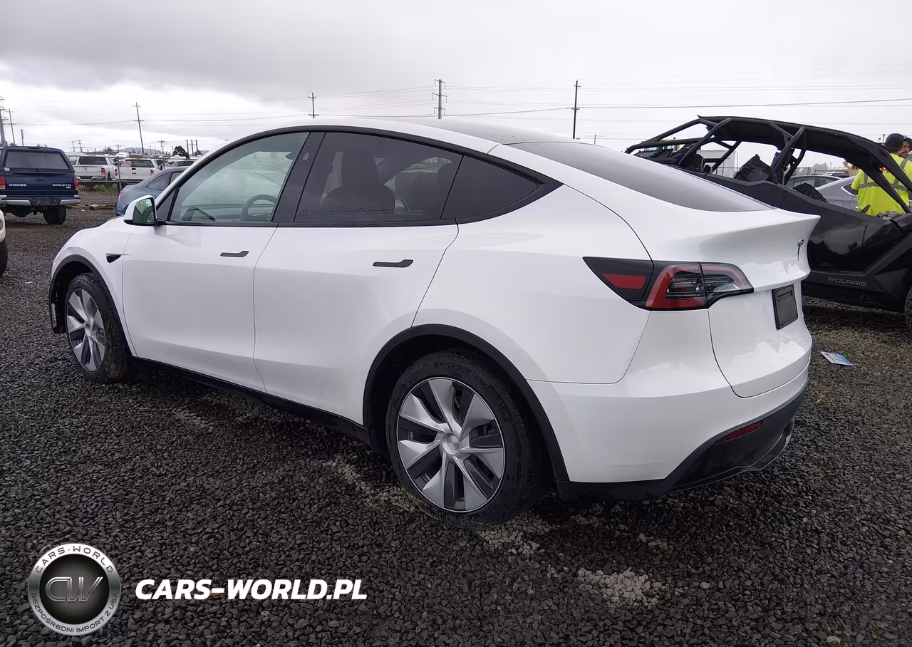 2023 Tesla Model Y Awd-Long Range Dual Motor All-Wheel Drive VIN:7SAYGDEE4PF808327 - 3