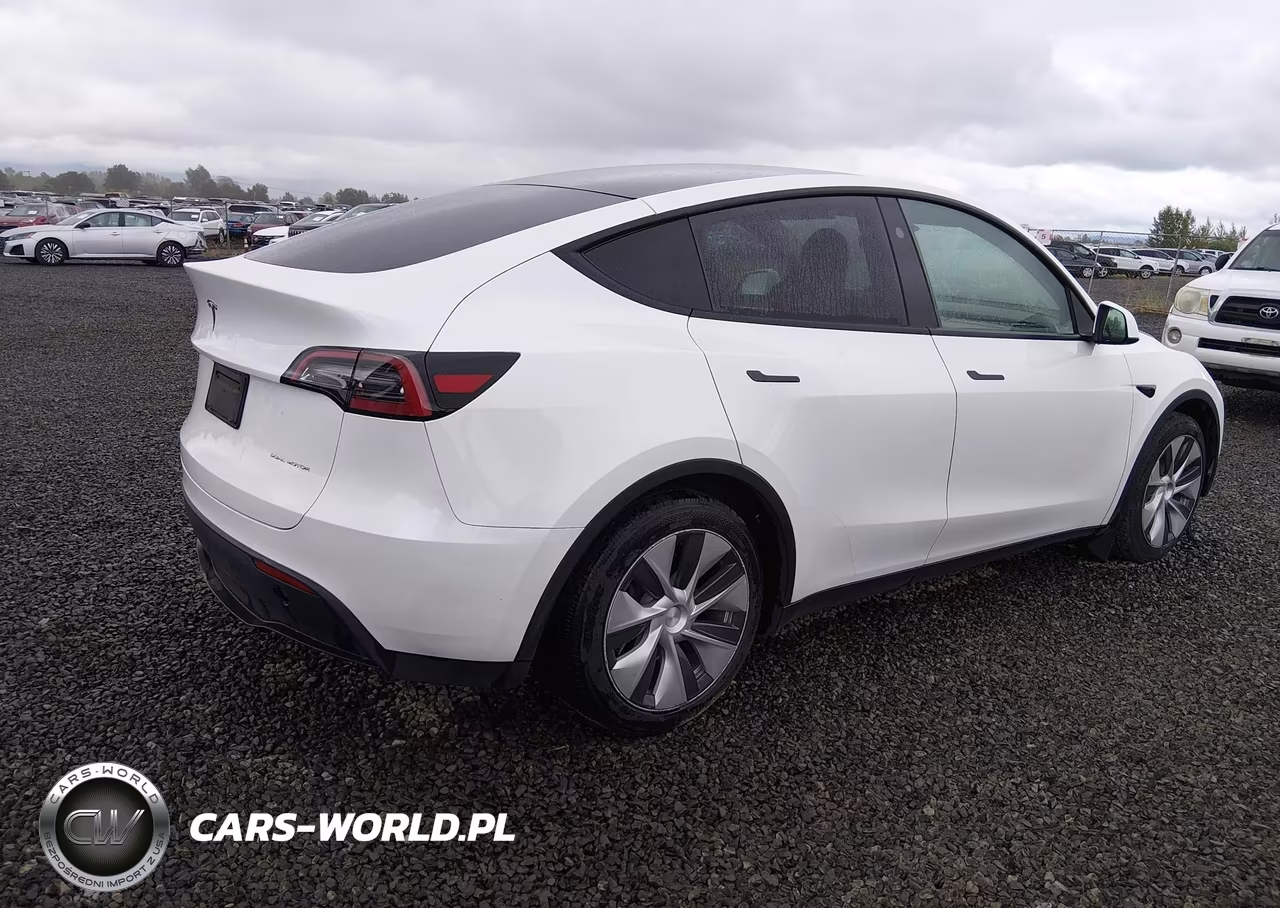 2023 Tesla Model Y Awd-Long Range Dual Motor All-Wheel Drive VIN:7SAYGDEE4PF808327 - 4