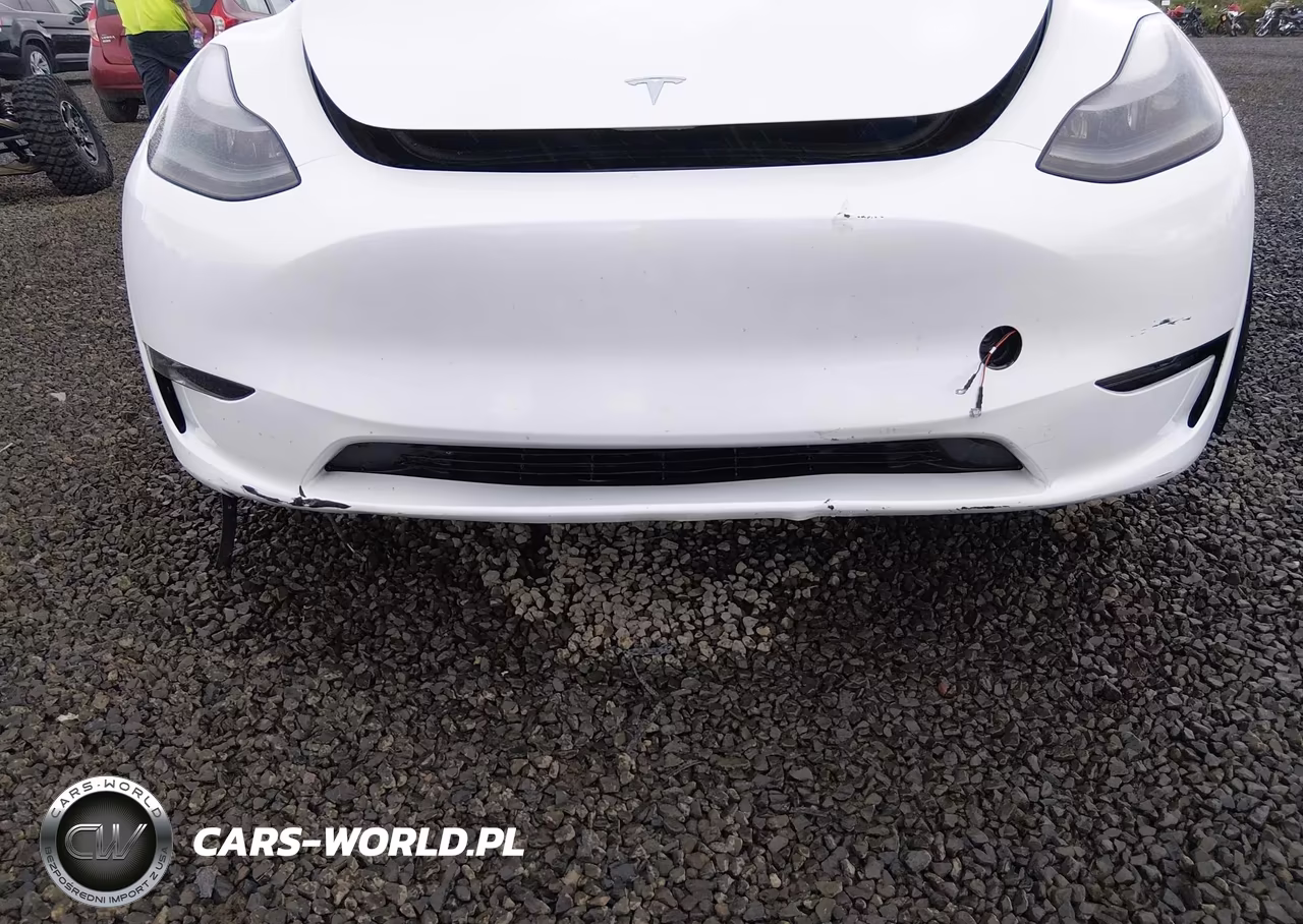 2023 Tesla Model Y Awd-Long Range Dual Motor All-Wheel Drive VIN:7SAYGDEE4PF808327 - 6