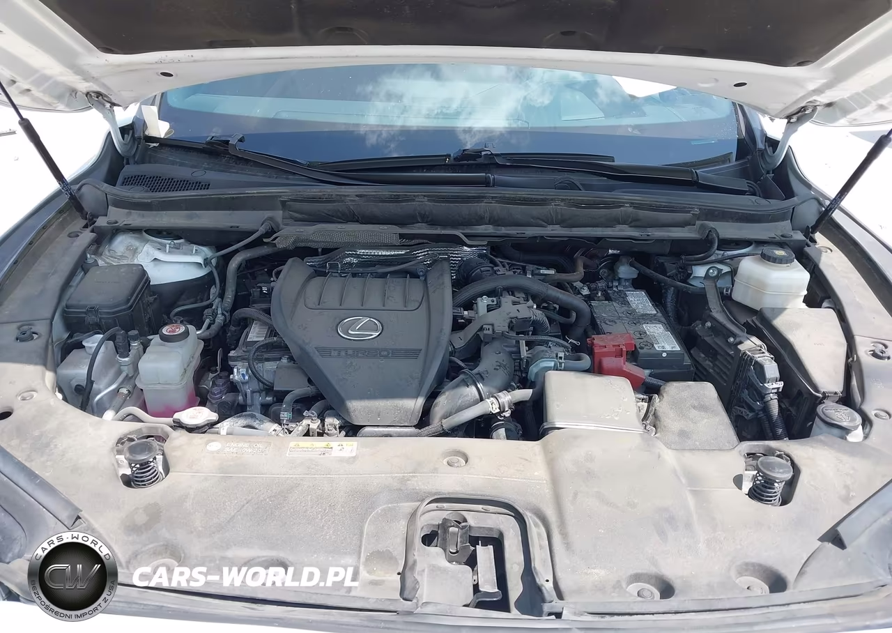 2024 Lexus Rx 350 F Sport Handling VIN:2T2BAMCA6RC044472 - 10
