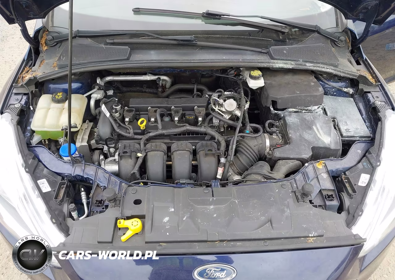 2017 Ford Focus Titanium VIN:1FADP3N28HL312317 - 10