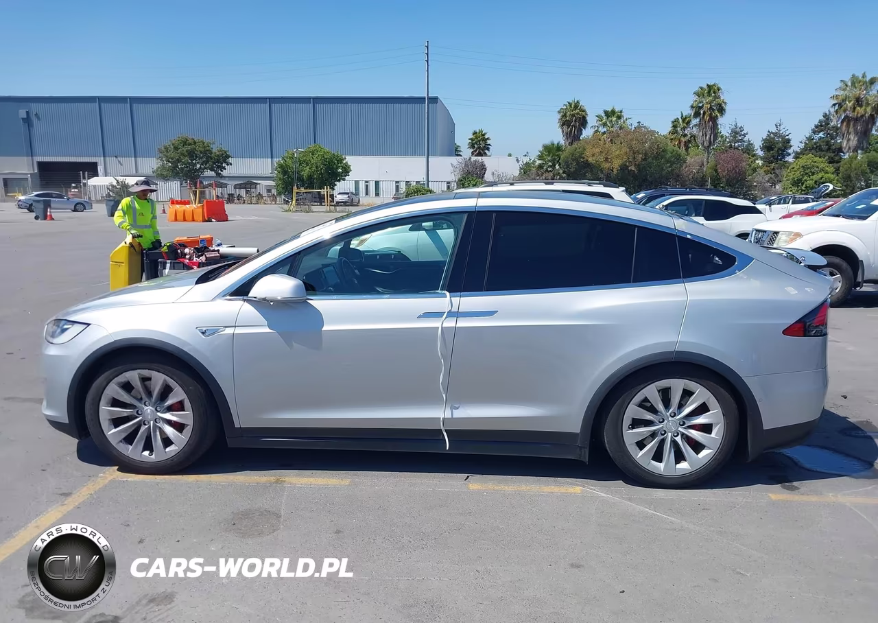 2016 Tesla Model X 60D-P100D-P90D VIN:5YJXCAE43GF005468 - 14