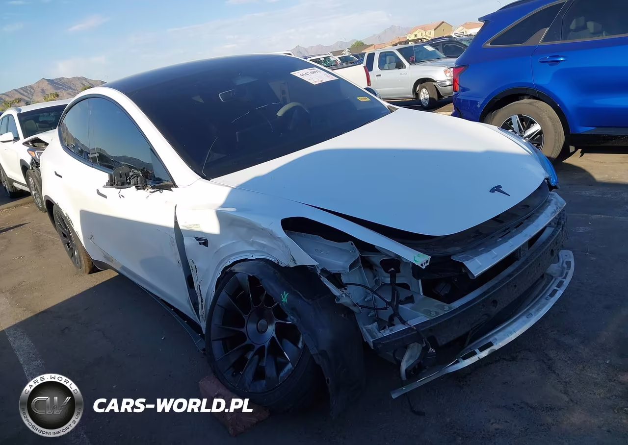 2020 Tesla Model Y Long Range Dual Motor All-Wheel Drive