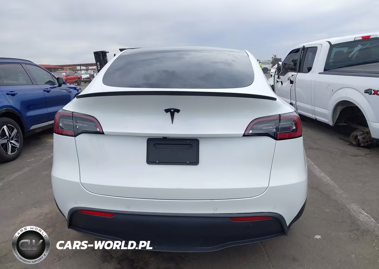 2020 Tesla Model Y Long Range Dual Motor All-Wheel Drive VIN:5YJYGDEE1LF016756 - 17