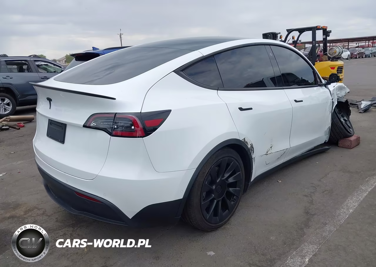 2020 Tesla Model Y Long Range Dual Motor All-Wheel Drive VIN:5YJYGDEE1LF016756 - 4