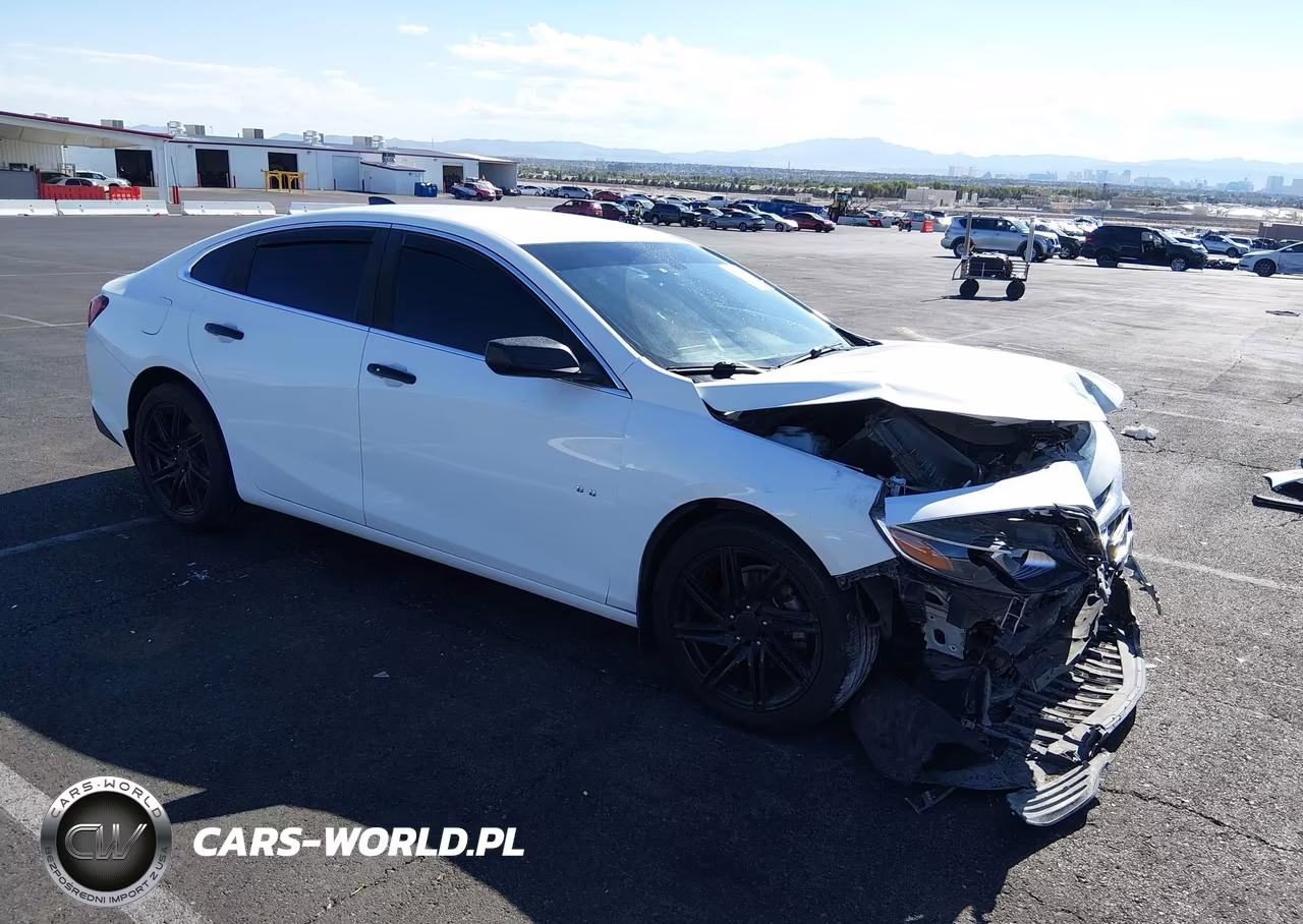 2019 Chevrolet Malibu 1Ls