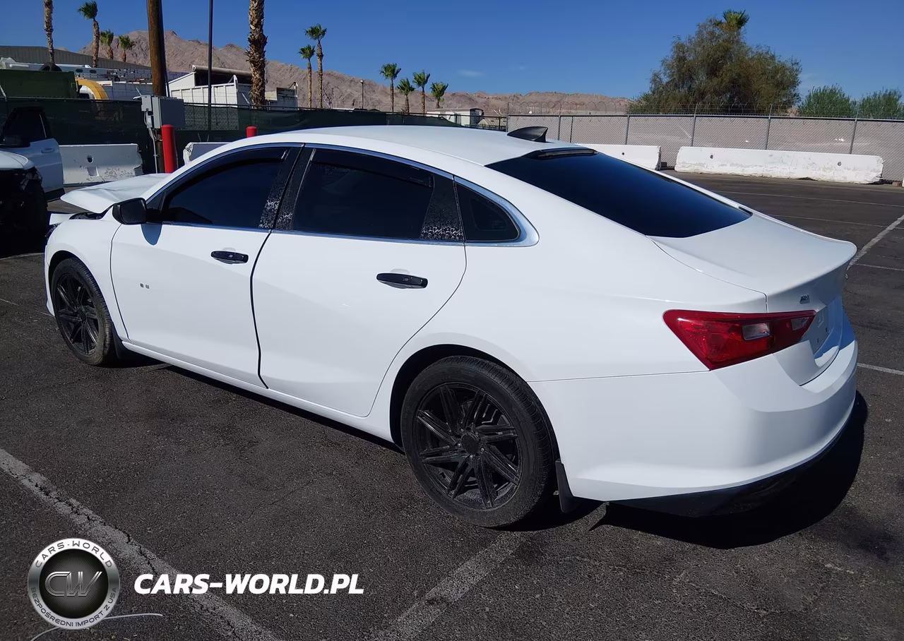 2019 Chevrolet Malibu 1Ls VIN:1G1ZB5ST4KF127851 - 3