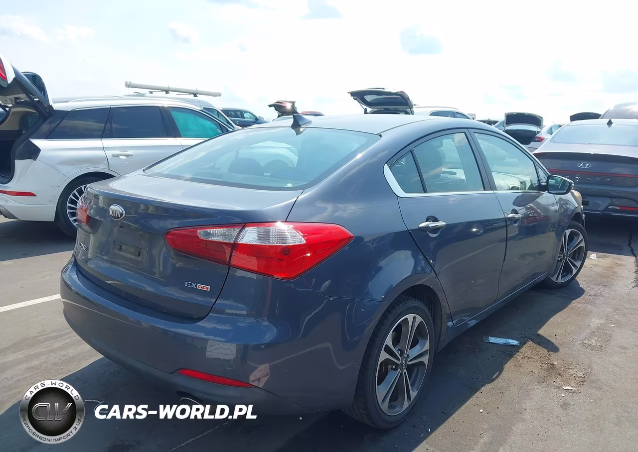 2014 Kia Forte Ex VIN:KNAFZ4A85E5067289 - 3