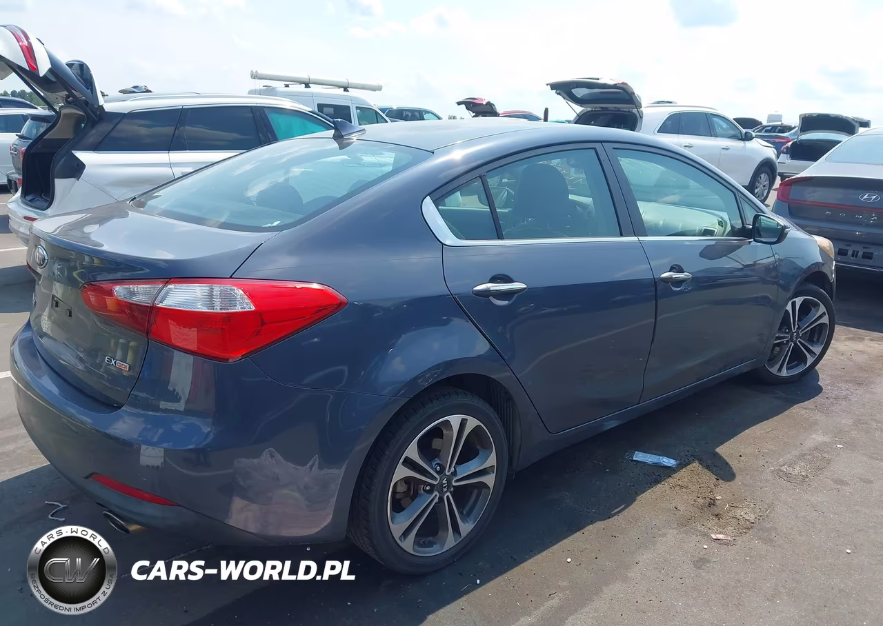 2014 Kia Forte Ex VIN:KNAFZ4A85E5067289 - 4