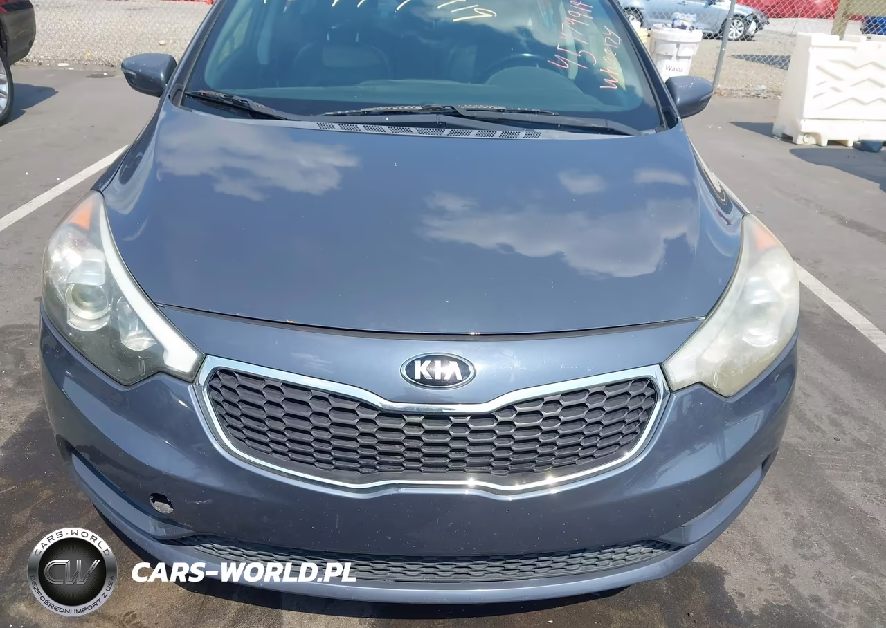 2014 Kia Forte Ex VIN:KNAFZ4A85E5067289 - 6