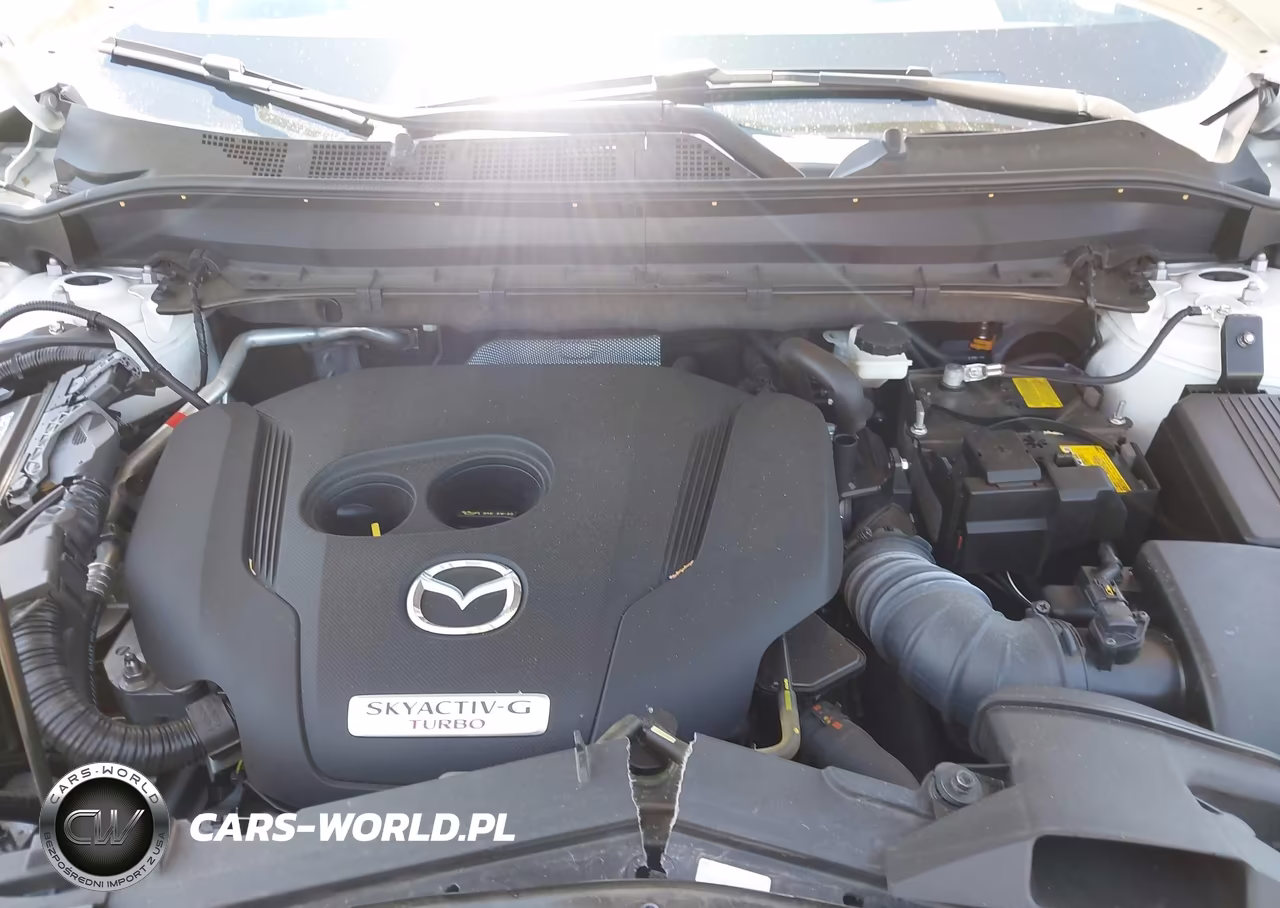 2025 Mazda Cx-5 2.5 Turbo Premium VIN:JM3KFBDY1S0617386 - 10