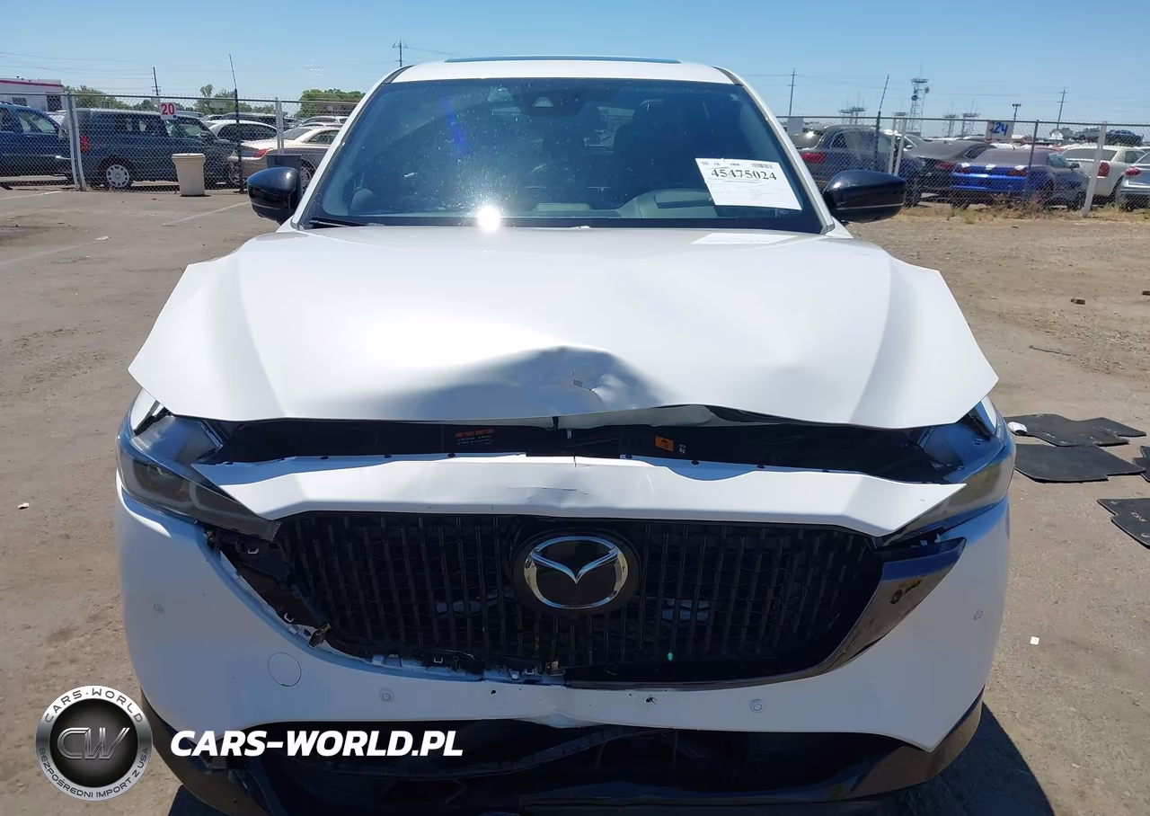 2025 Mazda Cx-5 2.5 Turbo Premium VIN:JM3KFBDY1S0617386 - 12