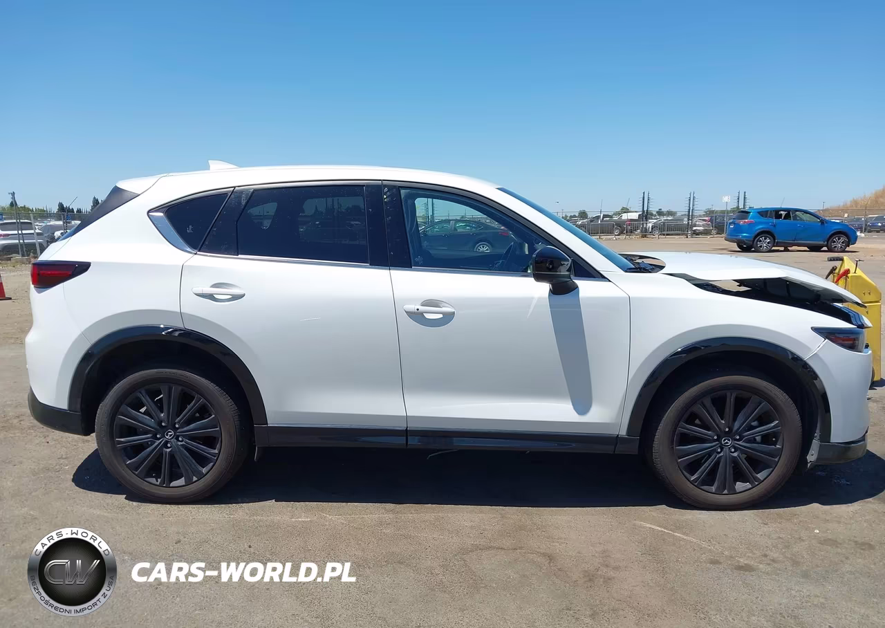 2025 Mazda Cx-5 2.5 Turbo Premium VIN:JM3KFBDY1S0617386 - 13