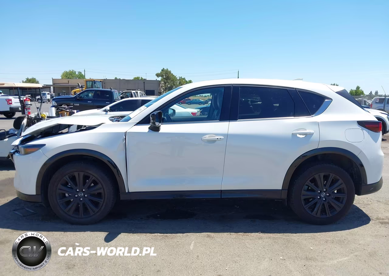 2025 Mazda Cx-5 2.5 Turbo Premium VIN:JM3KFBDY1S0617386 - 14