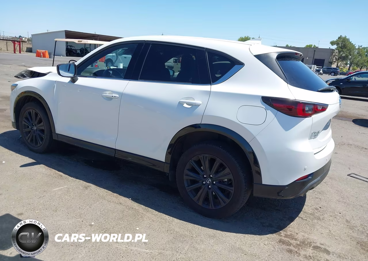 2025 Mazda Cx-5 2.5 Turbo Premium VIN:JM3KFBDY1S0617386 - 3