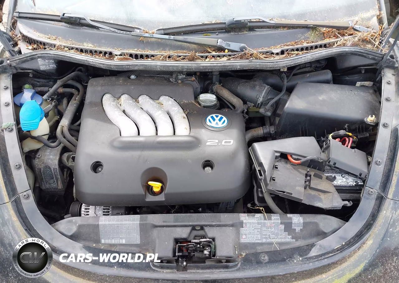 1998 Volkswagen New Beetle VIN:3VWBB61CXWM012223 - 10