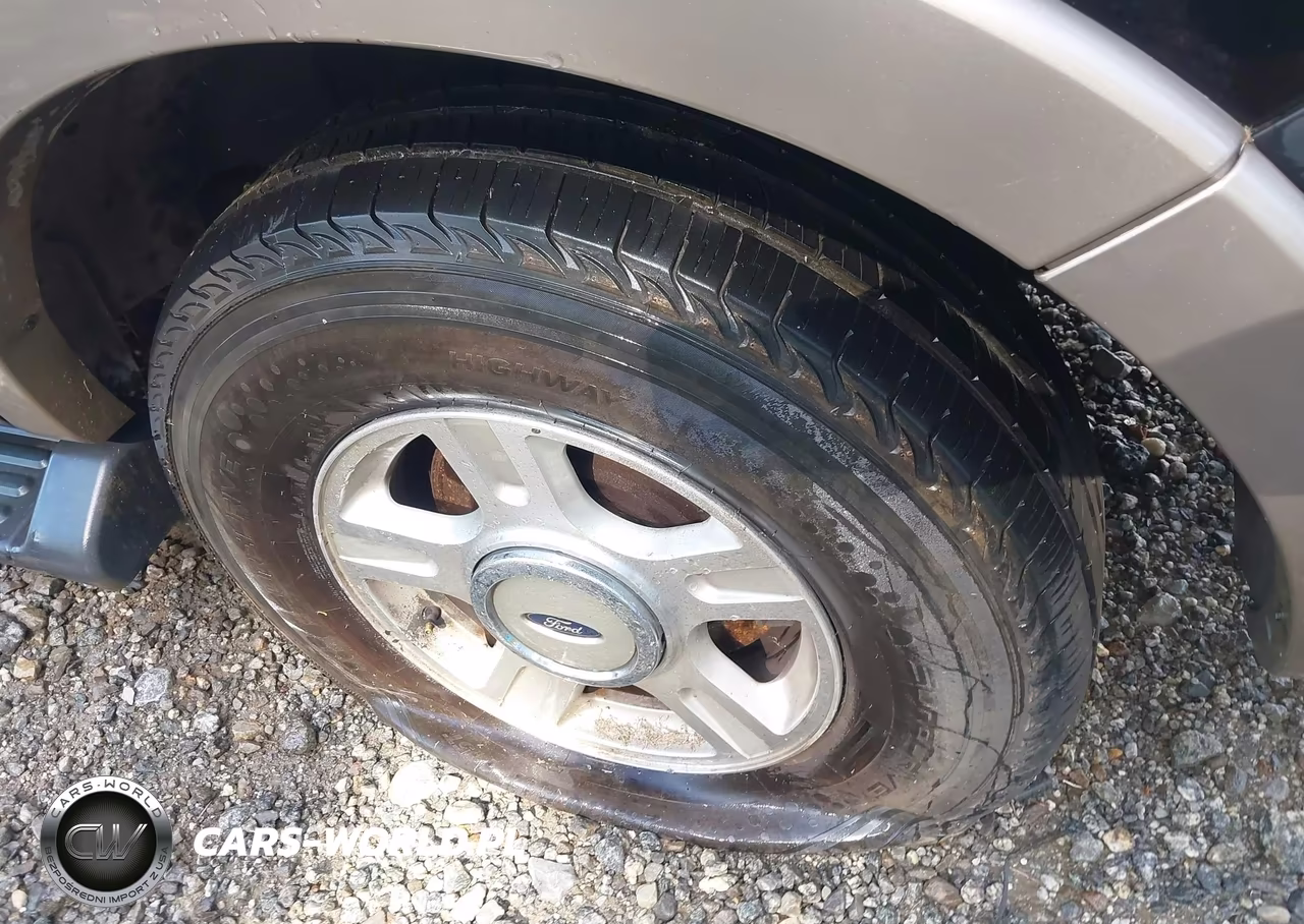 2003 Ford Expedition Eddie Bauer VIN:1FMRU17W23LB24636 - 15