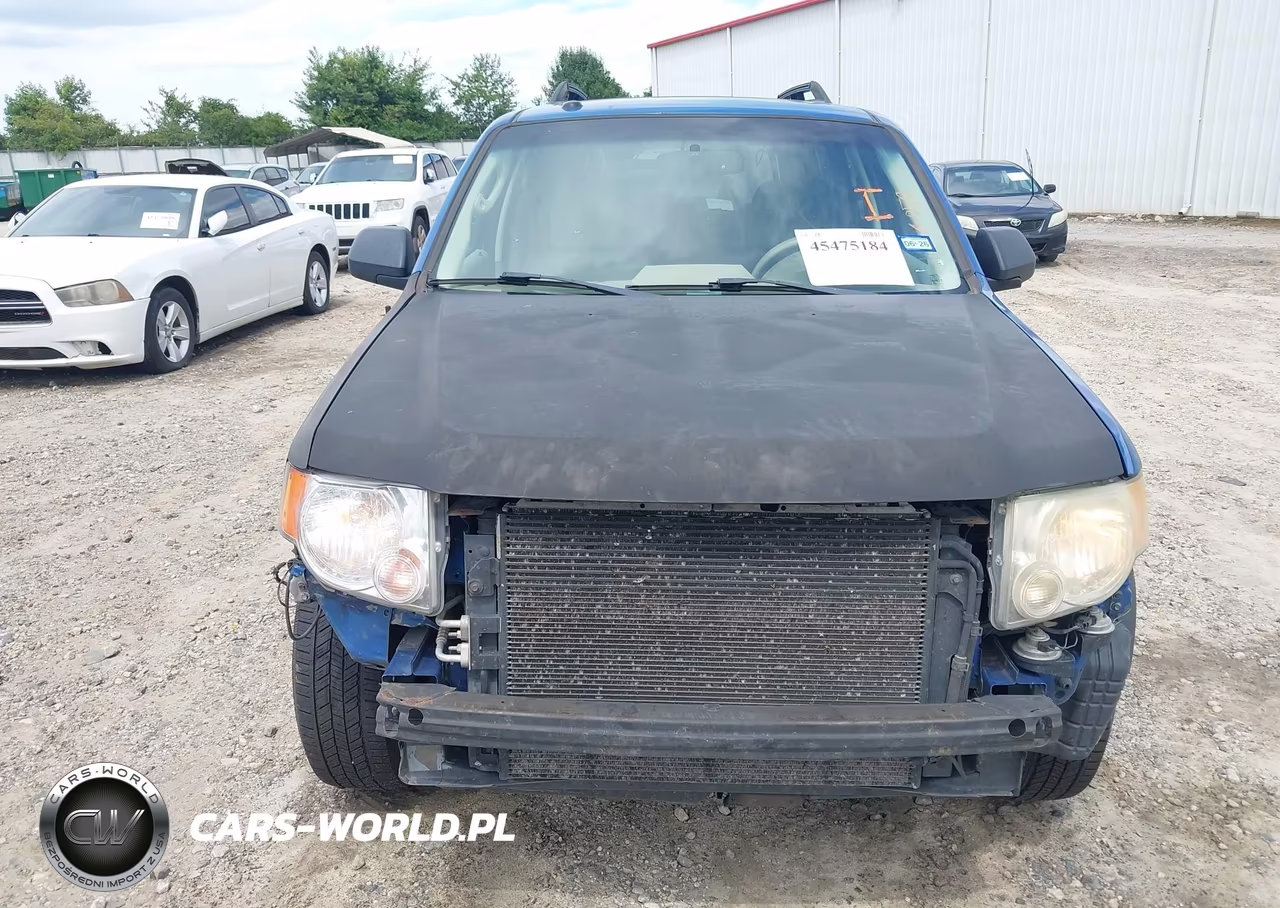 2011 Ford Escape Xlt VIN:1FMCU0D75BKC51169 - 6