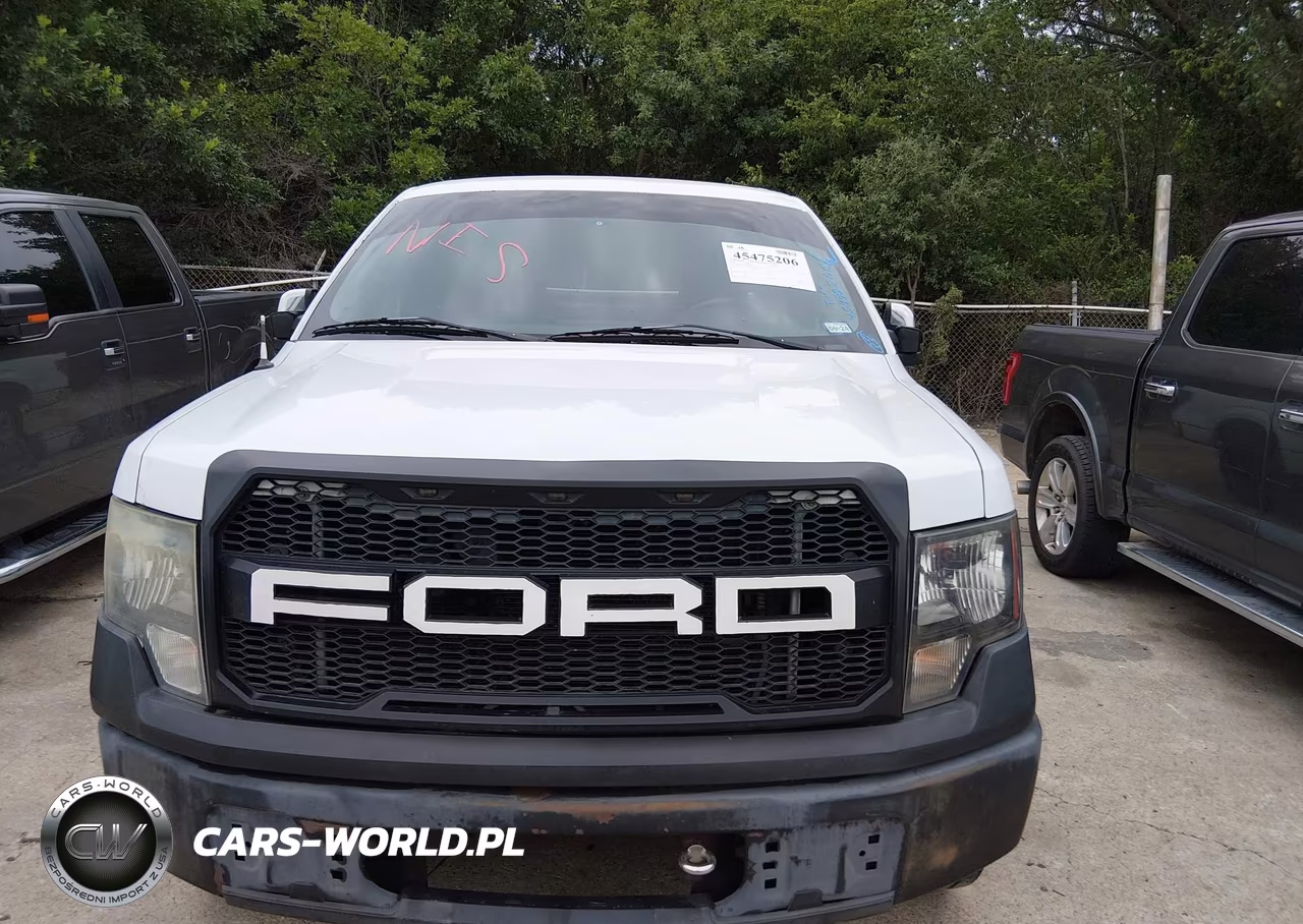2009 Ford F-150 Stx-Xl VIN:1FTRX12W39FB06348 - 11