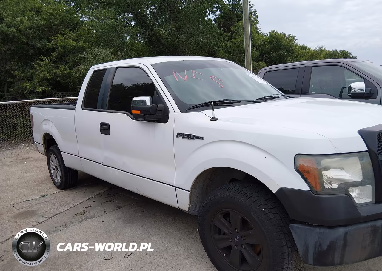 2009 Ford F-150 Stx-Xl VIN:1FTRX12W39FB06348 - 12