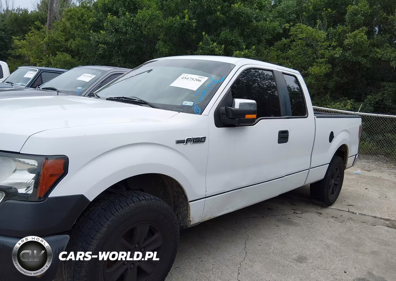 2009 Ford F-150 Stx-Xl VIN:1FTRX12W39FB06348 - 13