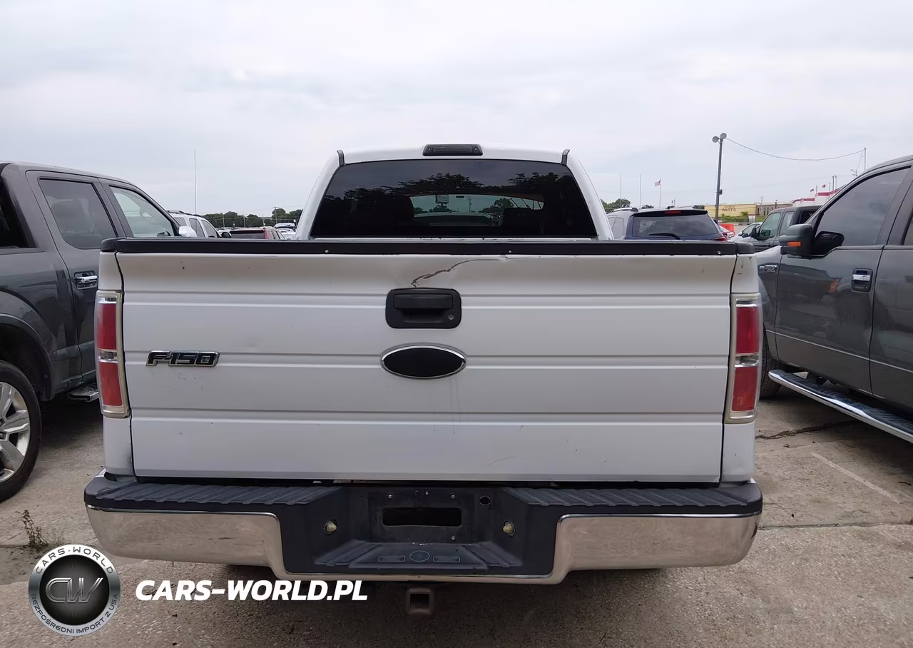 2009 Ford F-150 Stx-Xl VIN:1FTRX12W39FB06348 - 15