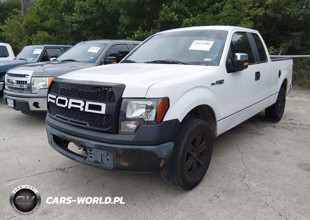 2009 Ford F-150 Stx-Xl VIN:1FTRX12W39FB06348 - 2