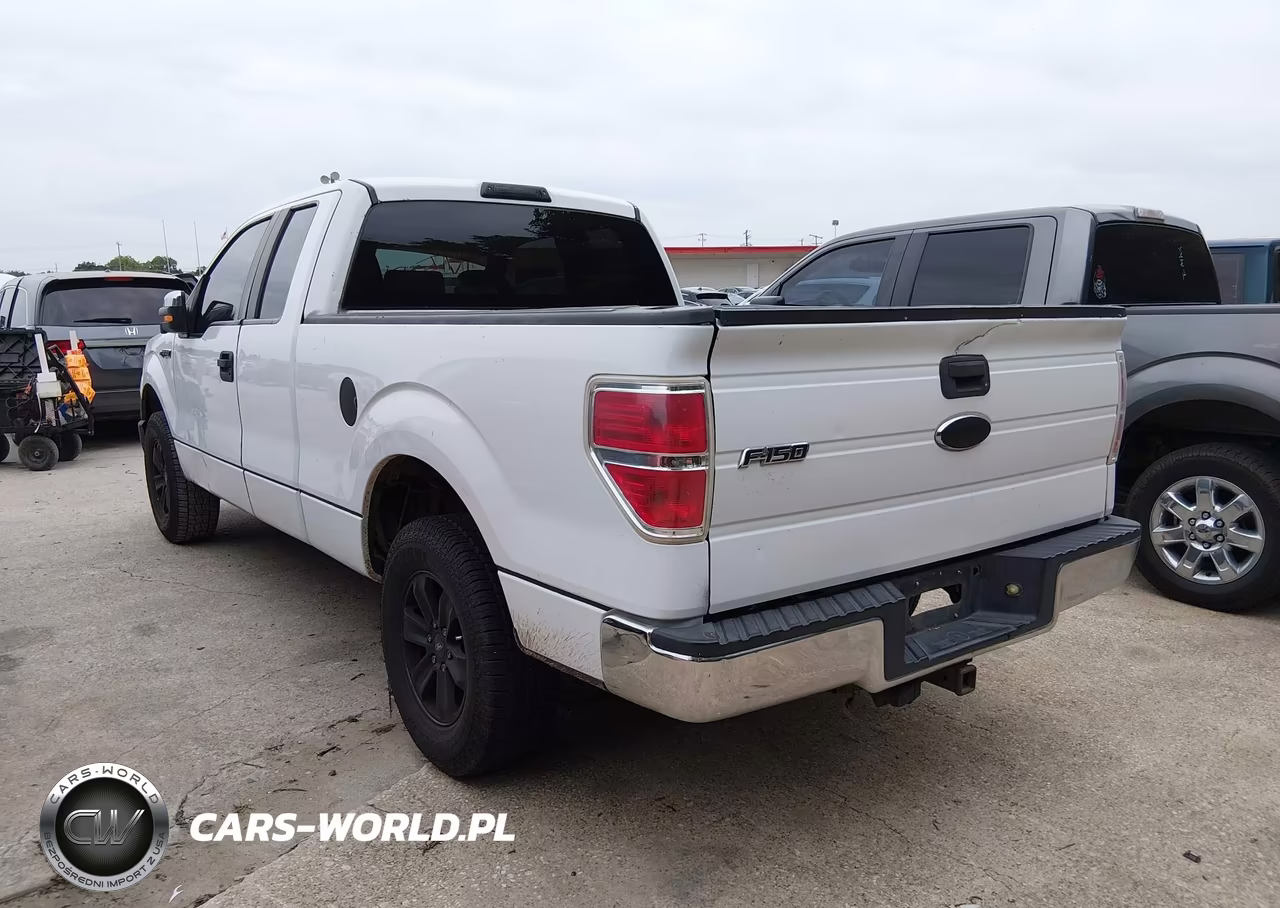 2009 Ford F-150 Stx-Xl VIN:1FTRX12W39FB06348 - 3